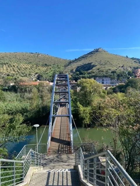 Bridge (2024)