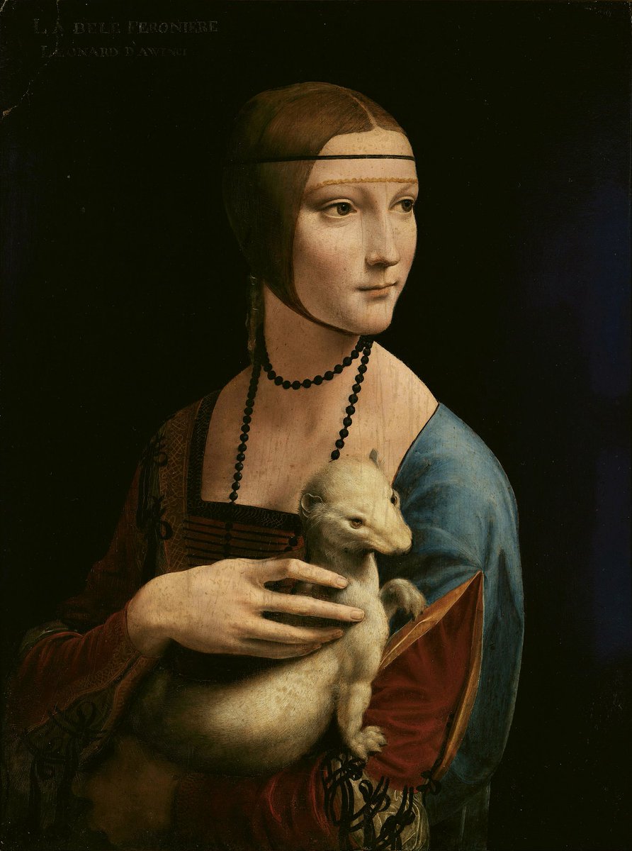 leonardo da vinci
lady with an ermine, 1491